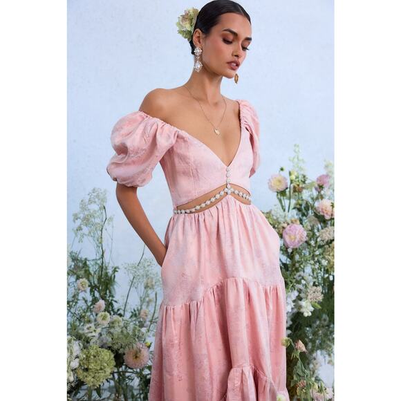 V. Chapman Anthropologie Pink Maxi Dress - Picture 4 of 13